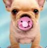 The baby dog !